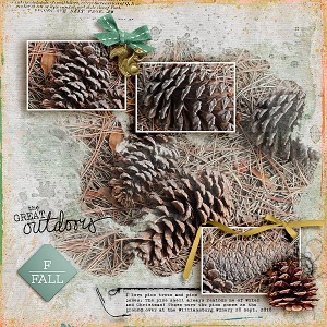 Pine Cones