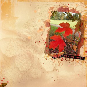 10-18_WhiteSpace_AutumnLeaves
