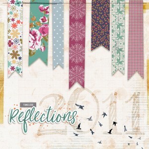 Book Cover 2011