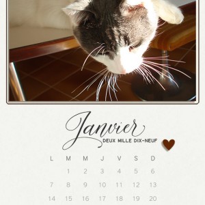 Calendar2019_January