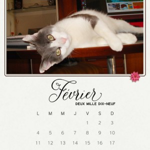 Calendar2019_February