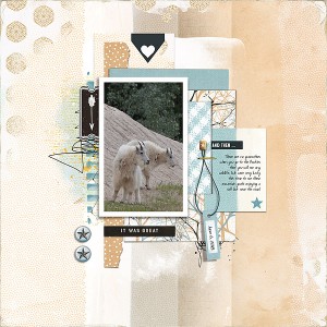 Mountain Goats