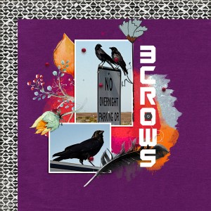 3 Crows - Speed Scrap 10-26