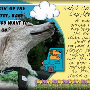Goin'-Up-The-Country