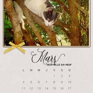 Calendar2019_March