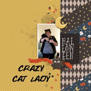 Crazy Cat Lady