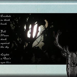 Hunter's-Moon-4