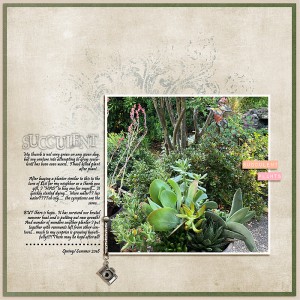 2018-My-succulent-(scraplift)