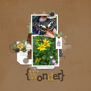 Nature's Wonder