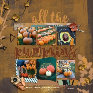 Pumpkin Patch 2018