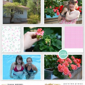 November 2018 Project 2 RHS