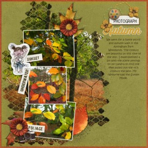 Autumn Leaves
