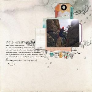 Field Notes