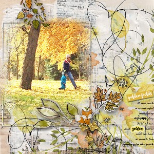 Golden-fields