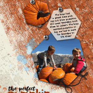 Cayton-pumpkin-web