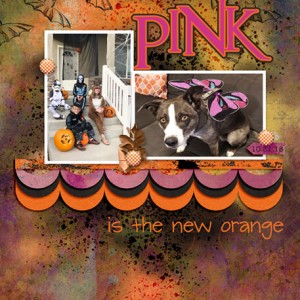 11-18_Pink-the-new-Orange