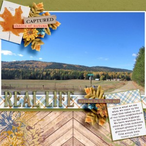 NOVEMBER SCRAPLIFT CHALLENGE - REAL LIFE