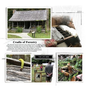 Cradle of Forestry