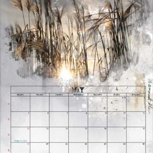 May