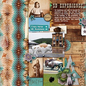 SD-Experience