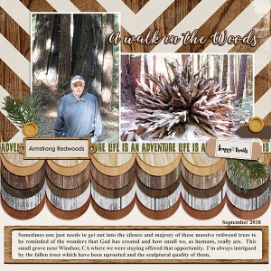 Nov2018_FDD Blog Chall_web