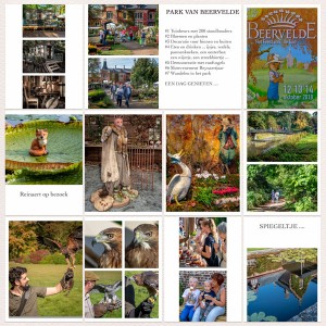 18-11_TLP_November-Journaling-challenge