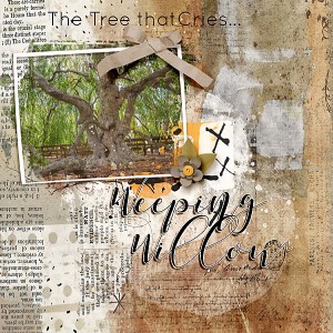 Crying Tree