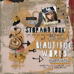 Stop And Look