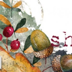 Siggy