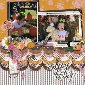 Enjoy the Little Things - Nov