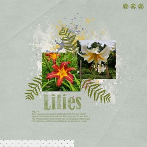 Lilies At Val-Kill