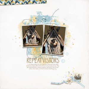 Repeat Visitors