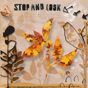 Stop and Look