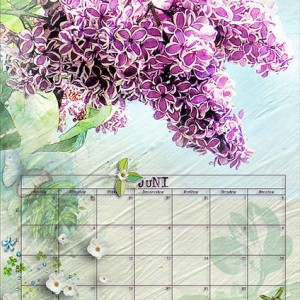 NBK_Kalender_Juni