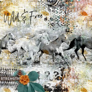 WILD AND FREE