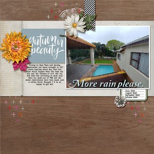 Rains