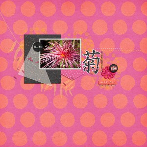 Chrysanthemum