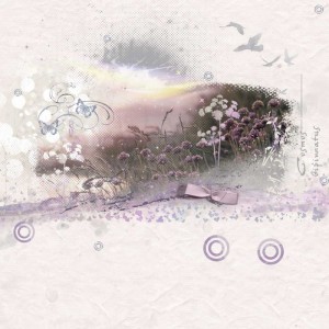 lavender treasure