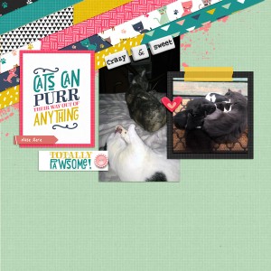 Kitties_SWL-Nov18-blog-challenge