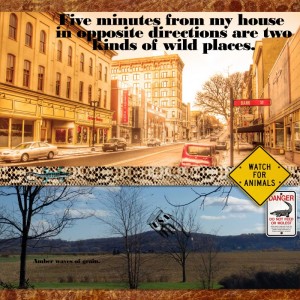 Wild Places
