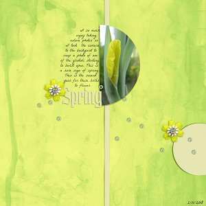 Spring - Photography Challenge