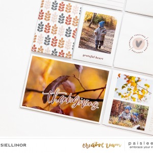Paislee-AroundTheTable-projectbyspesiellinor03