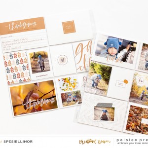 Paislee-AroundTheTable-projectbyspesiellinor05