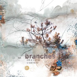 Bare Branches