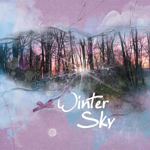 Winter Sky