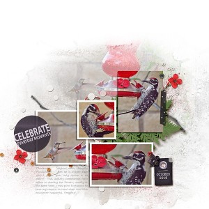 Celebrate everyday Moments