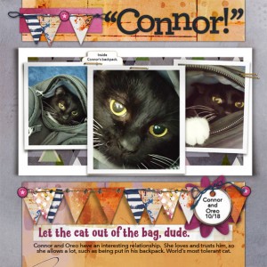 Catpack