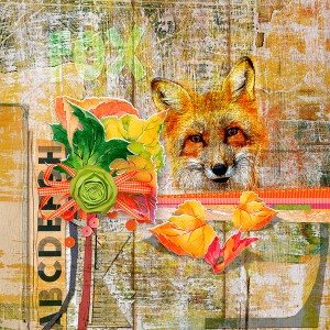 fox