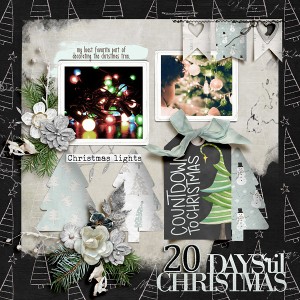 20 Days til Christmas