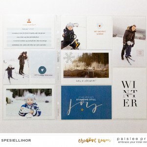 Paislee-november2018project-projectbyspesiellinor01